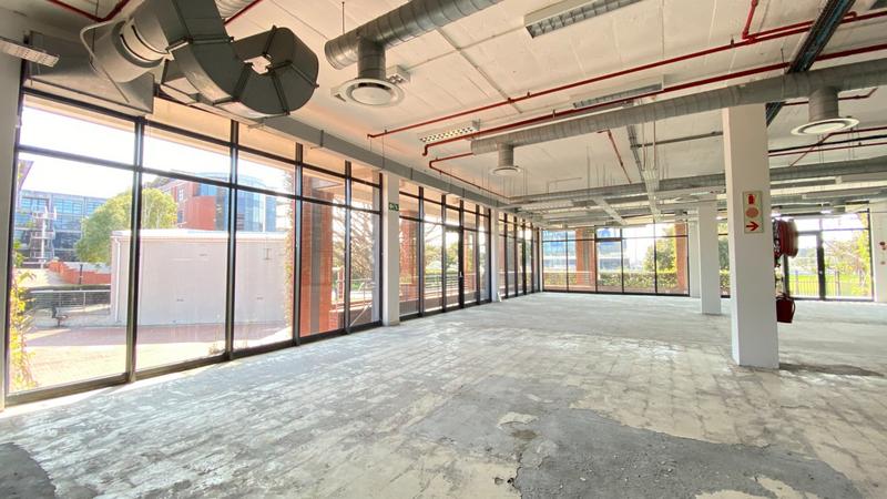 To Let commercial Property for Rent in Observatory Western Cape